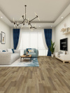 Lucerne Gray