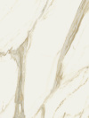 Oro, 24x48